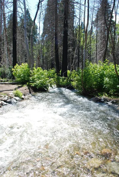 DSC_0094 (Large).JPG